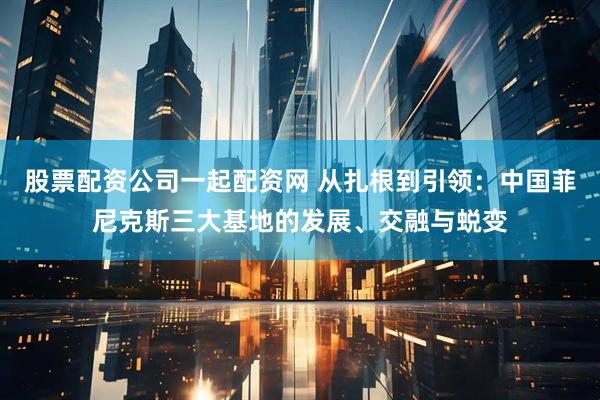 股票配资公司一起配资网 从扎根到引领：中国菲尼克斯三大基地的发展、交融与蜕变