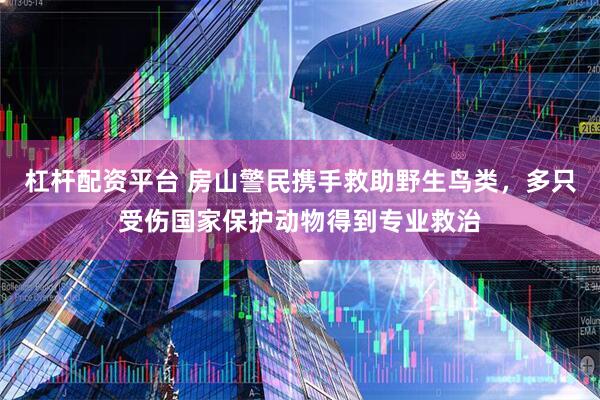 杠杆配资平台 房山警民携手救助野生鸟类，多只受伤国家保护动物得到专业救治