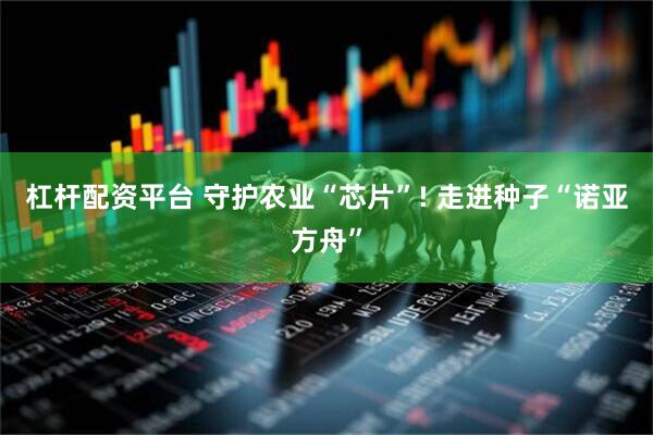 杠杆配资平台 守护农业“芯片”! 走进种子“诺亚方舟”