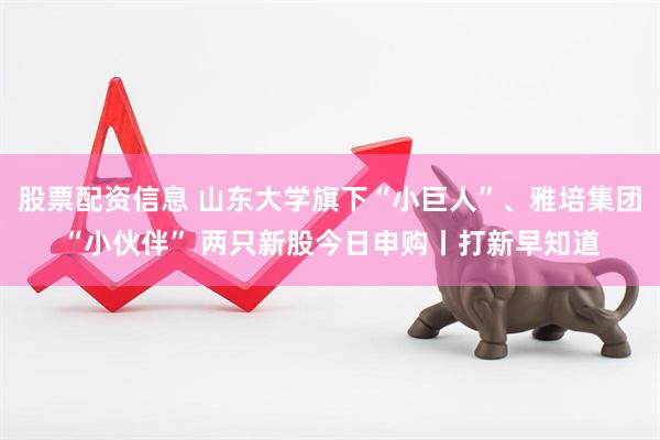 股票配资信息 山东大学旗下“小巨人”、雅培集团“小伙伴” 两只新股今日申购丨打新早知道