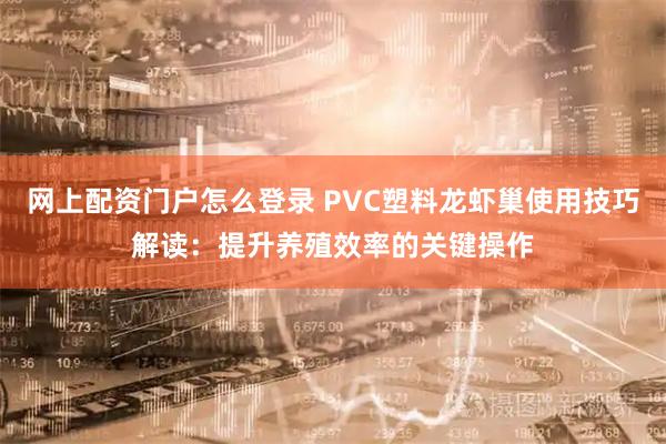 网上配资门户怎么登录 PVC塑料龙虾巢使用技巧解读：提升养殖效率的关键操作